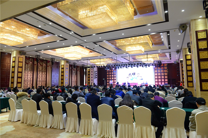 2017年第一届电动汽车绿色出行大会在上海举行