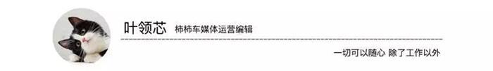 硬杠丰田埃尔法 雷克萨斯LM 迈莎锐MV600亮相2021粤港澳大湾区车展