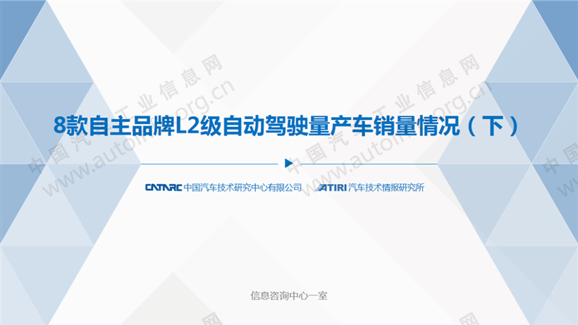 自主L2级自动驾驶量产车市场分析
