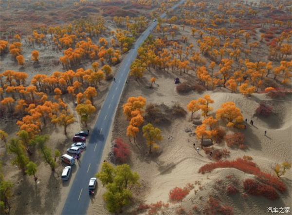 SUV，汽车销量，长城汽车