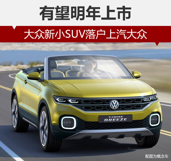 ，大众新小SUV,T-Cross，上汽大众招标