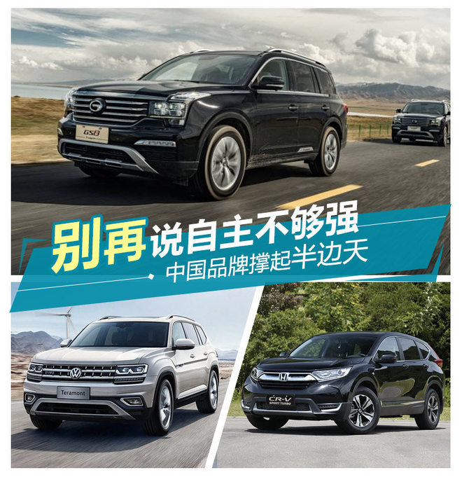 汽车销量,自主品牌，中国汽车