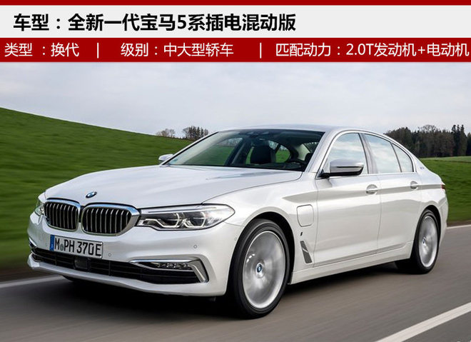 华晨宝马530Le,华晨宝马，华晨汽车，汽车油耗，油耗