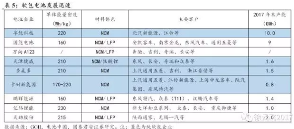 软包电池需求,铝塑膜行业，动力锂电池技术