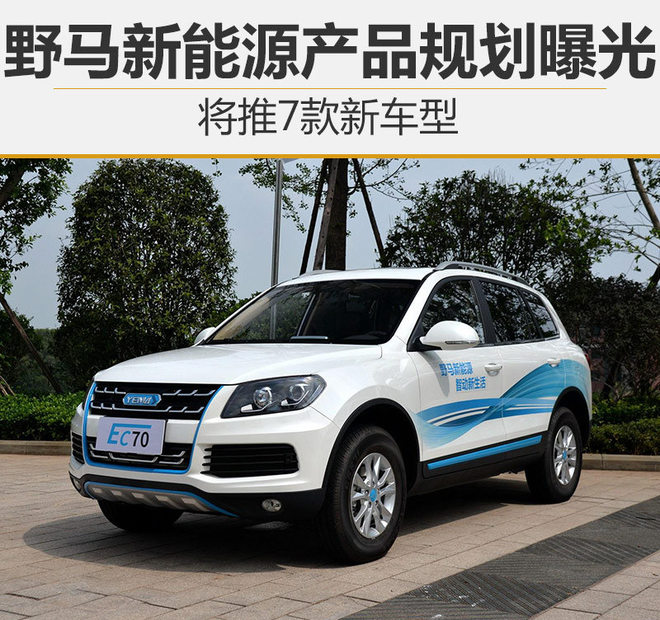 野马新能源,新能源车型