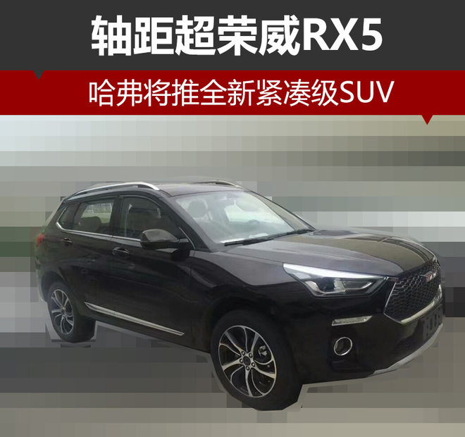 新车，自主品牌，哈弗,SUV