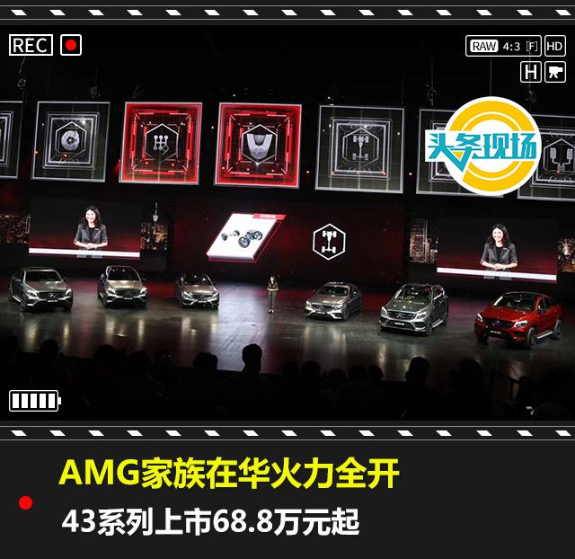AMG家族,AMG