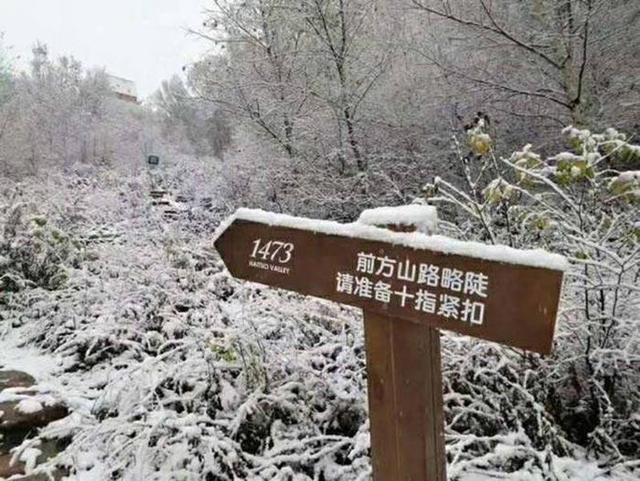 韩系车,东风悦达起亚