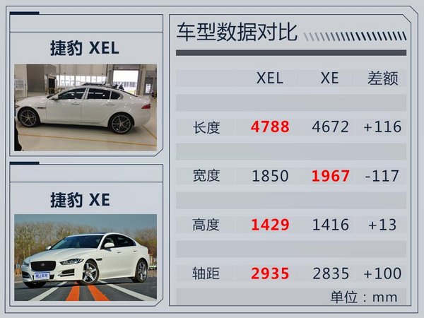 张卿