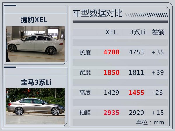 张卿
