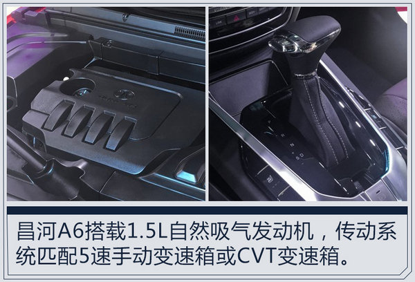 12月新车上市
