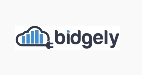 Bidgely推V2G解决方案 助公用事业有效管理电网/增收