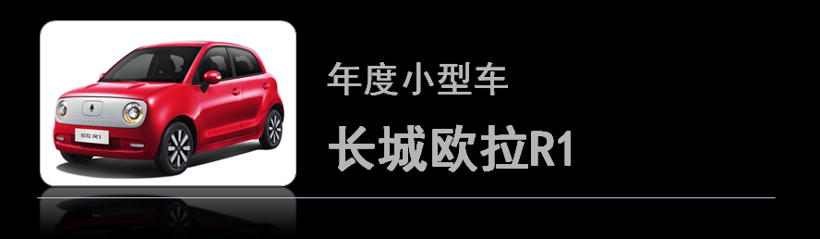 荣获金辑奖的“年度最佳车型”