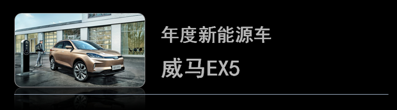 荣获金辑奖的“年度最佳车型”