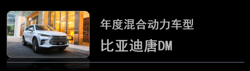 荣获金辑奖的“年度最佳车型”