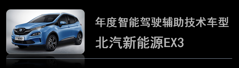 荣获金辑奖的“年度最佳车型”