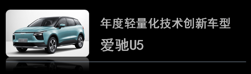 荣获金辑奖的“年度最佳车型”