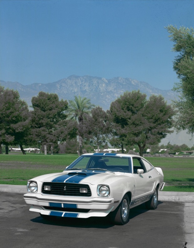 Mustang,Ұ