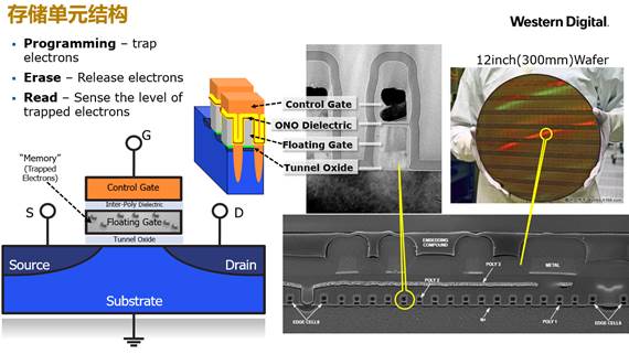 西部数据季超：3D NAND 技术详解