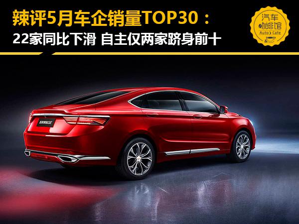 辣评5月车企销量TOP30:22家同比下滑 自主仅两家跻身前十