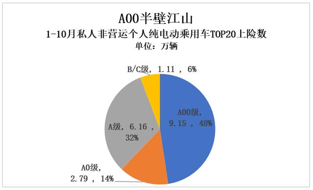 真实电动汽车私人消费有多少:25.11万辆打个折