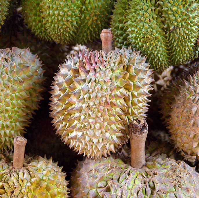 durians-are-asian-exotic-fruits-which-have-an-horrible-odor-news-photo-1582729686.jpg