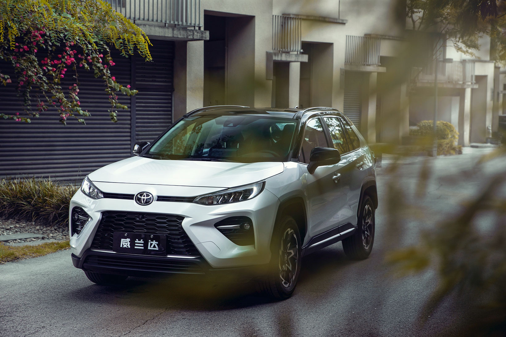 广汽丰田，丰田,威兰达,RAV4