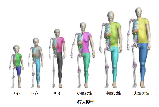 助力未来出行，丰田汽车将无偿公开虚拟人体模型“THUMS”