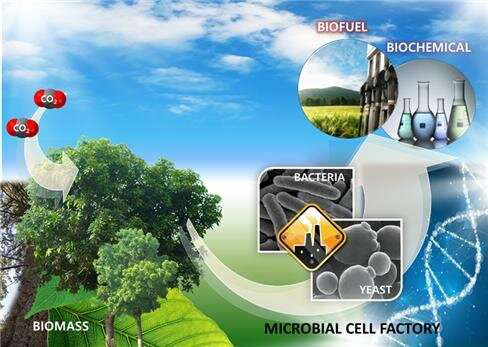 韩国利用废纸箱制备生物柴油 可减少车辆温室气体排放