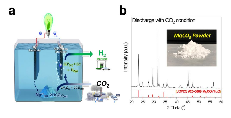 UNIST开发无膜CO₂电池 可快速有效地产生氢和电