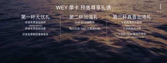 WEY摩卡上海车展正式预售 携手体验官姚安娜同台走秀