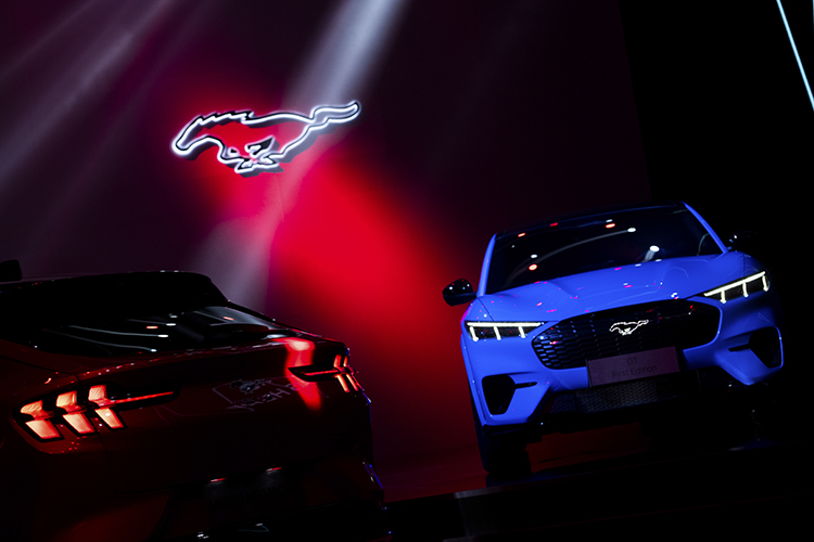 销量，Model Y，Mustang Mach-E销量,特斯拉销量