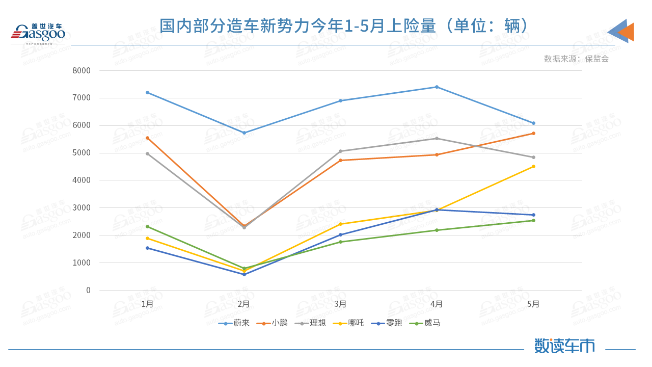 威马，特斯拉，理想，新能源,上险量