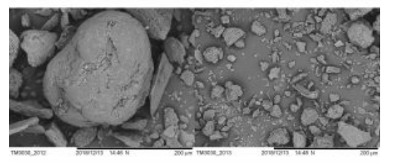 研究团队用碱液、尿素预处理有害绿藻  提升生物燃料产量