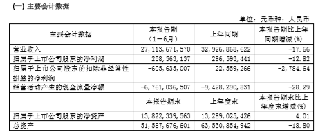 庞大集团今年上半年净利润2.59亿元 庞大集团今年上半年净利润2.59亿元 同比下降12.82% 证监会调查等影响成主因