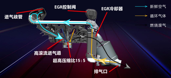 插混即将进入平民时代 插混即将进入平民时代