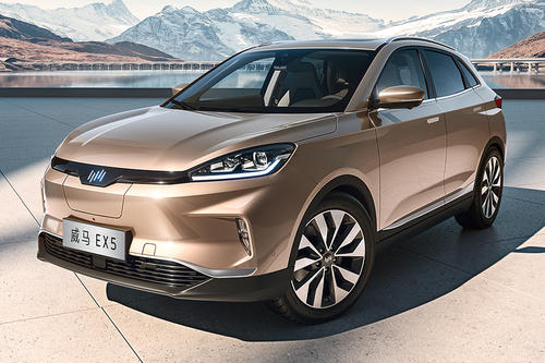 从来没有天降馅饼，2021年新能源汽车市场变成&ldquo;突围赛&rdquo;