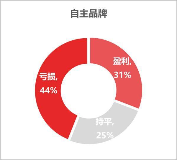 自主品牌，经销商亏损,自主品牌
