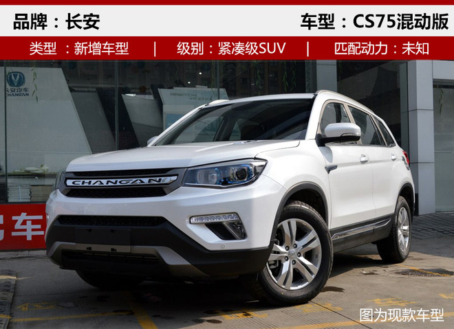 新车，新车,SUV