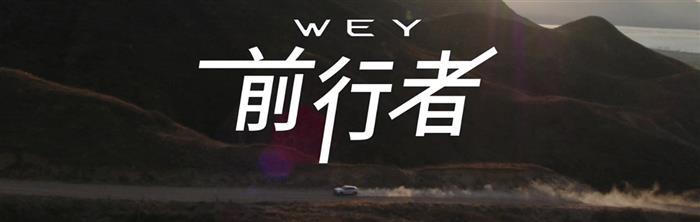 中国汽车品牌,汽车自主品牌，国产豪华车