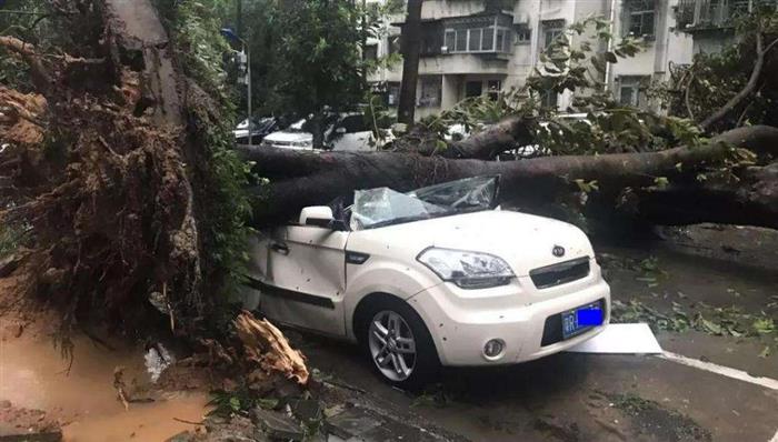 【一周车话】贾跃亭也该上回头条了