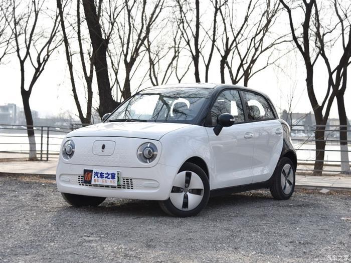 欧拉价格上调,新能源乘用车补贴退坡