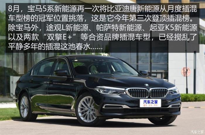 8月新能源车市