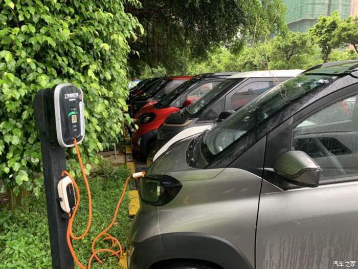 电动汽车，新能源乘用车,新能源乘用车上险量