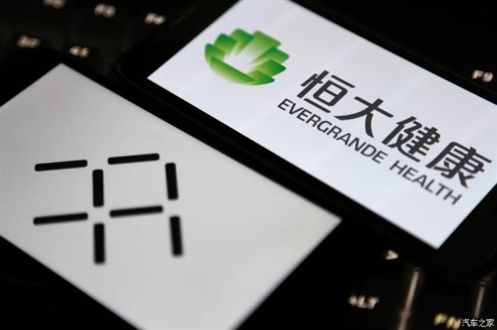 贾跃亭, 贾跃亭莫干山