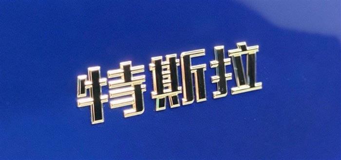 特斯拉尾标