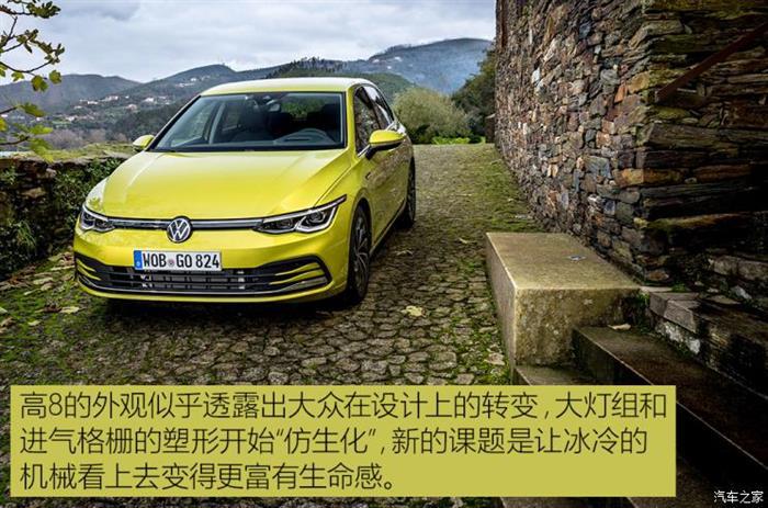 高尔夫八代,golf