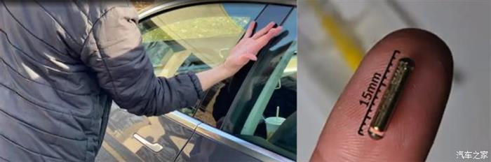 特斯拉，特斯拉,特斯拉芯片