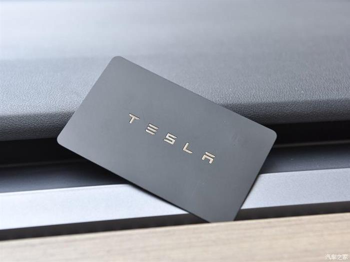 特斯拉，特斯拉,特斯拉芯片