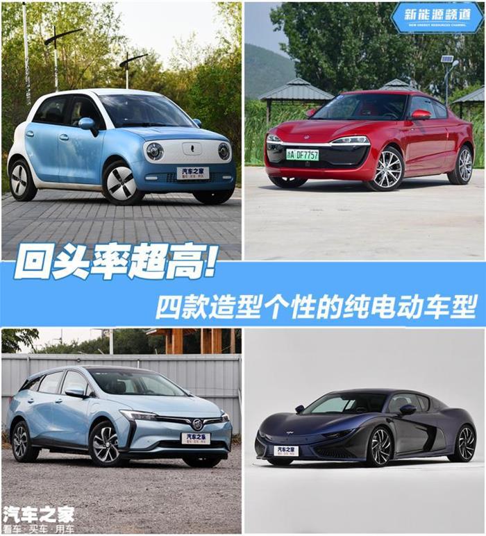 纯电动车型